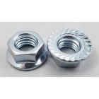 M8- 1.25mm Serrated Hex Flange Nut SS 304 Pack 250